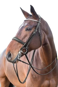 Horze Laelia Kandarenzaum