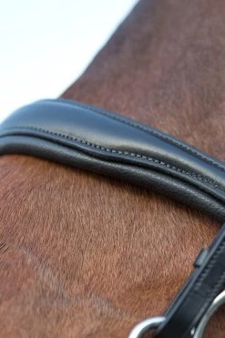 Horze Laelia Kandarenzaum -Reitsportbedarf 10001 BL 04