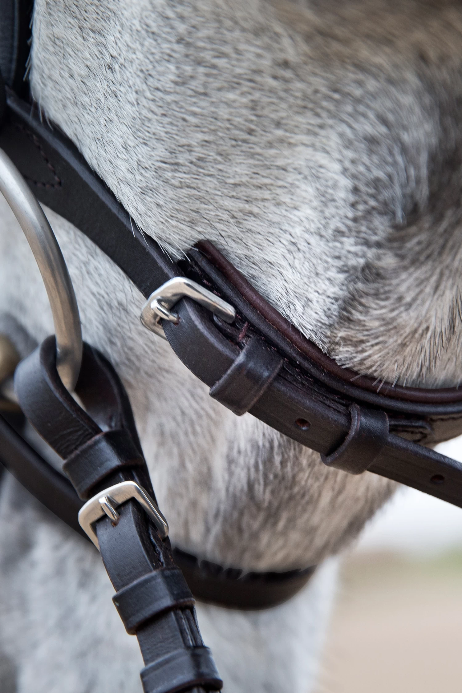 Horze Weston Trense 7 Horze Weston Trense – Bild 7