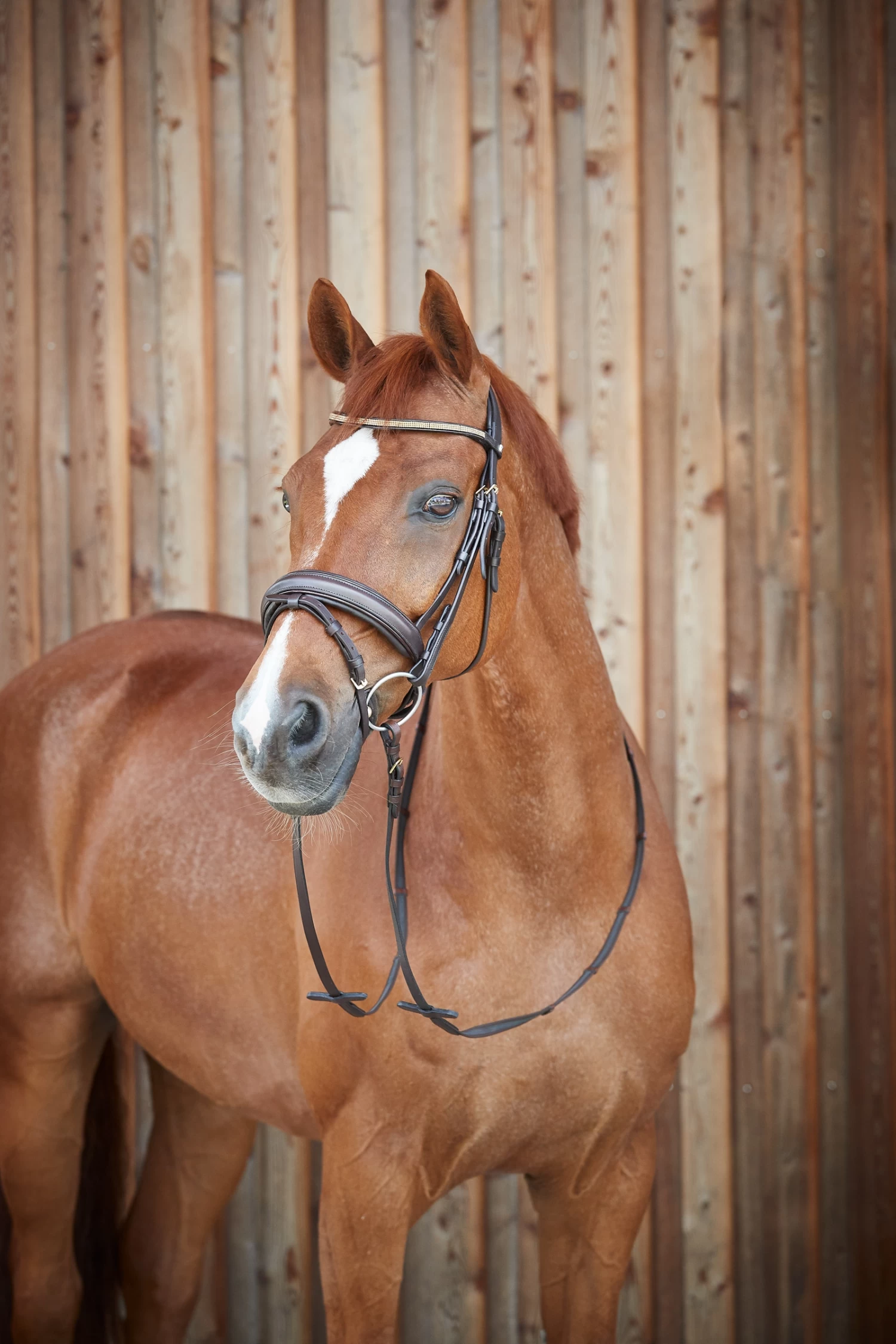 Horze Lester Trense 8 Horze Lester Trense – Bild 8