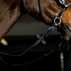 Horze Gebisslose Trense -Reitsportbedarf 10081 BL 6