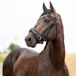 Horze Grayson Anatomische Trense 25 Horze Grayson Anatomische Trense -Reitsportbedarf 10084 BL 1