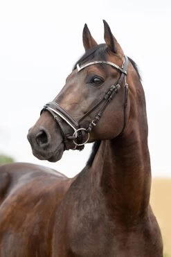 Horze Grayson Anatomische Trense 31 Horze Grayson Anatomische Trense -Reitsportbedarf 10084 DBR 1