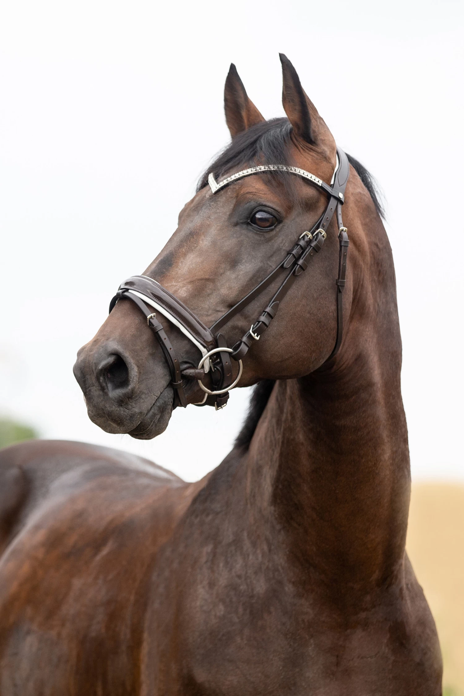 Horze Grayson Anatomische Trense 15 Horze Grayson Anatomische Trense – Bild 15