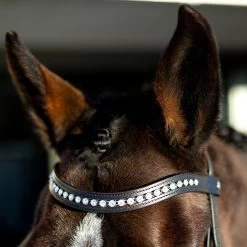 Horze Bergen Remont Trense -Reitsportbedarf 10109 BR 2