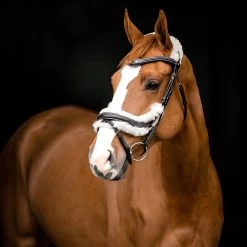 Horze Rome Anatomische Trense -Reitsportbedarf 10118 DBR 3