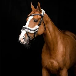 Horze Rome Anatomische Trense -Reitsportbedarf 10118 DBR 4