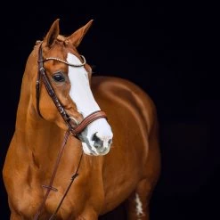 Horze Positano Anatomische Hannoveranische Trense -Reitsportbedarf 10126 BR 2