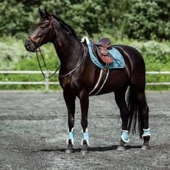 Horze Positano Anatomische Hannoveranische Trense -Reitsportbedarf 10126 BR 4