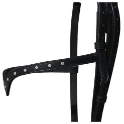 Karlslund Stjarni Reithalfter Mit Stirnriemen