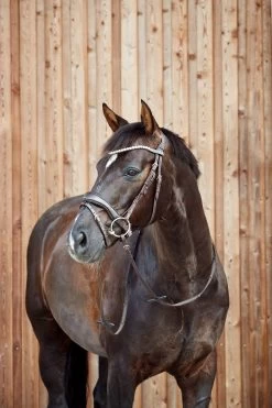 Horze Somerset Anatomische Trense -Reitsportbedarf 10156 DBR 4