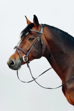 Horze Buxton Anatomische Trense Mit Zügeln -Reitsportbedarf 10158 BR 3