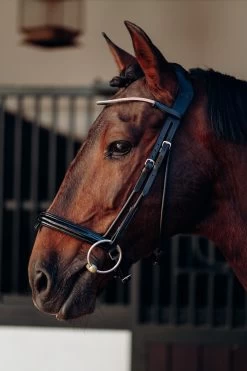 Horze Munich Stirnriemen Mit Strasssteinen -Reitsportbedarf 10162 rtpi 02