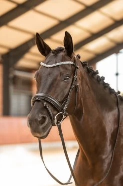 Horze Columbia Stirnriemen Mit Kristallen -Reitsportbedarf 10169 BL DB 4