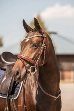 Horze Columbia Stirnriemen Mit Kristallen -Reitsportbedarf 10169 BR GO 4