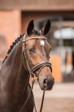 Horze Nancy Stirnriemen Mit Kristallen Und Flechtdetail -Reitsportbedarf 10170 br rgo 04