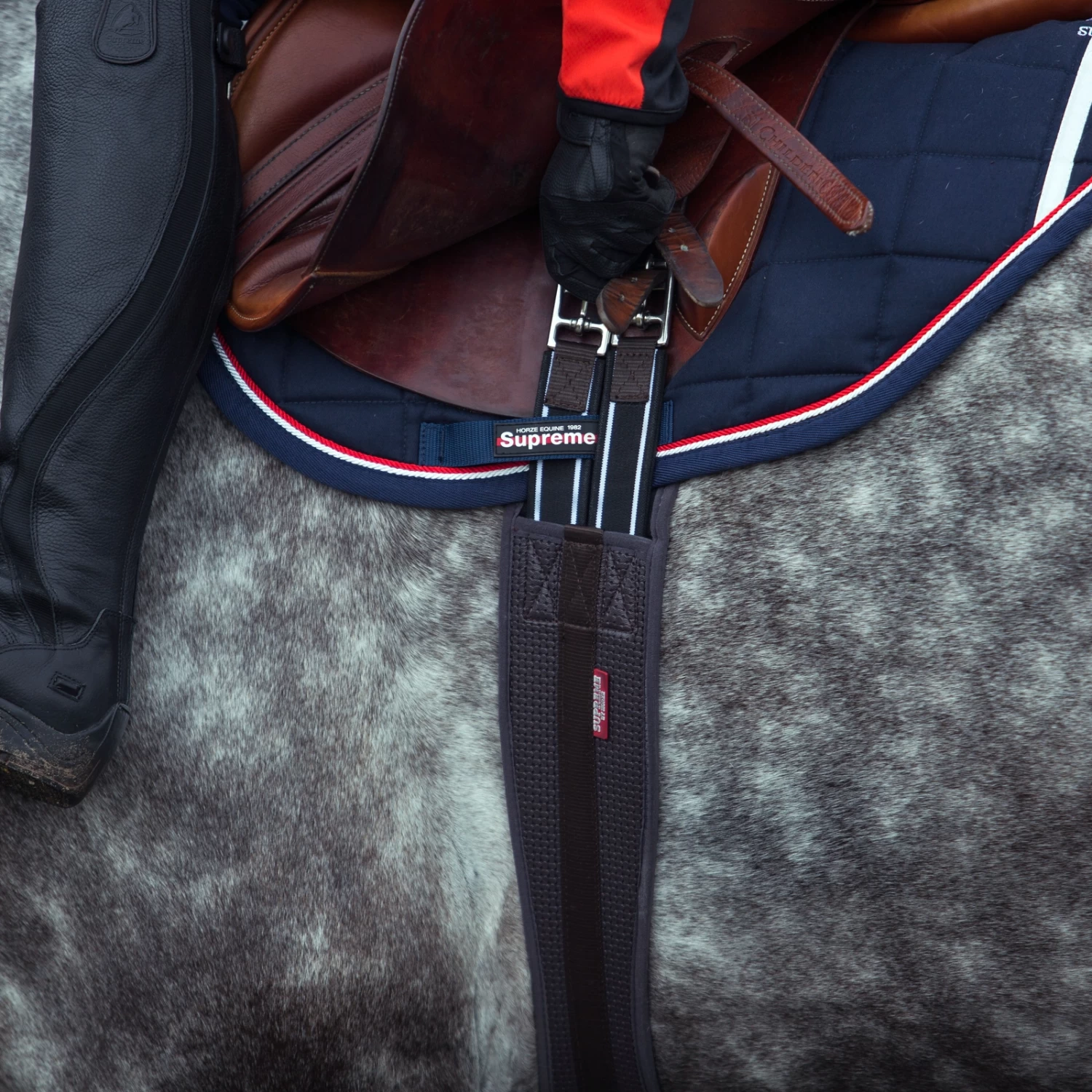 Horze Dallas Langgurt 4 Horze Dallas Langgurt – Bild 4