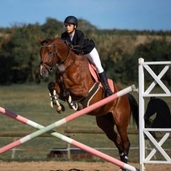 Horze Atlanta Stollenschutz-Sattelgurt Mit Fleecefutter -Reitsportbedarf 14677 DBR 3