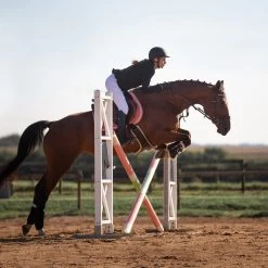 Horze Atlanta Stollenschutz-Sattelgurt Mit Fleecefutter -Reitsportbedarf 14677 DBR 4