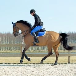 Horze Chooze Vielseitigkeitsschabracke 24 Horze Chooze Vielseitigkeitsschabracke -Reitsportbedarf 17000 LLB 2