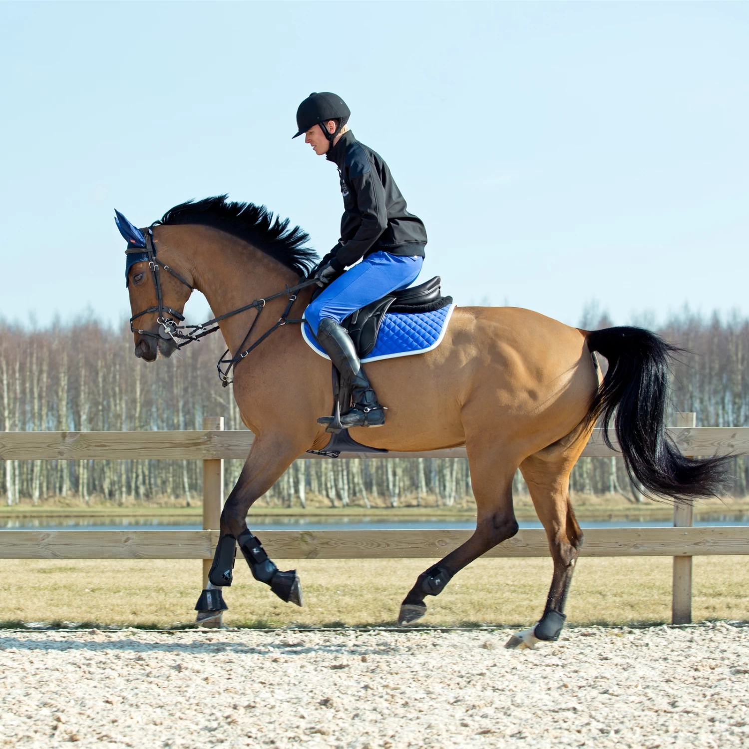 Horze Chooze Vielseitigkeitsschabracke 5 Horze Chooze Vielseitigkeitsschabracke – Bild 5