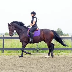 Horze River Vielseitigkeitsschabracke -Reitsportbedarf 17014 PU PU 2