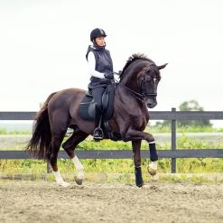 Horze River Dressurschabracke -Reitsportbedarf 17024 BL BL 3