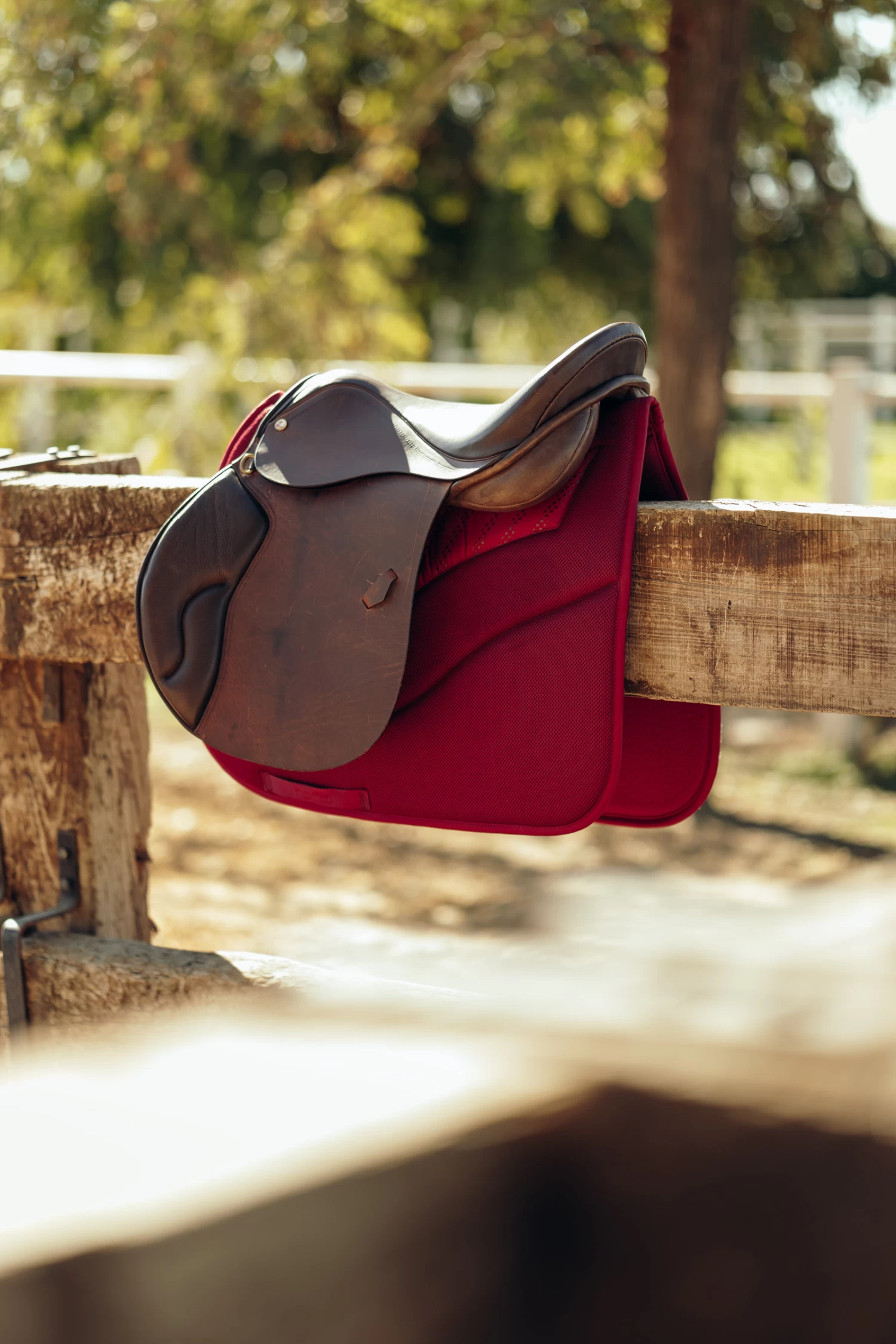 Horze Phoenix Vielseitigkeitsschabracke 4 Horze Phoenix Vielseitigkeitsschabracke – Bild 4