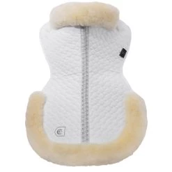 Christ Sattelpad Mit Rand -Reitsportbedarf 17331 WH OWH 2