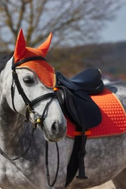 Horze Adepto Vielseitigkeitsschabracke -Reitsportbedarf 17343 cgo 04