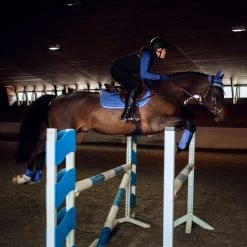 Horze Glarus Dressurschabracke Mit Metallischem Flechtdetail -Reitsportbedarf 17397 MLNB 3