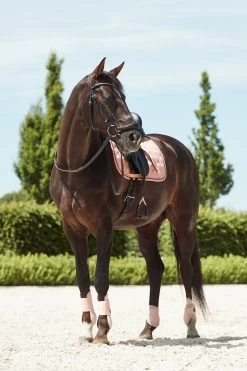 Horze Coventry Dressurschabracke -Reitsportbedarf 17417 CPI 3