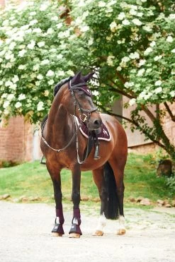 Horze Monster Pony Schabracke Mit Bestickung -Reitsportbedarf 17422 FPU 5