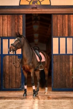 Horze Trixi Pony Vielseitigkeitsschabracke -Reitsportbedarf 17441 333 05