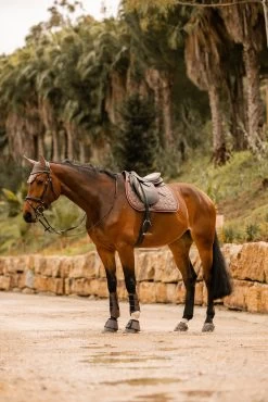 Horze Kenya Vielseitigkeitsschabracke -Reitsportbedarf 17444 753 07