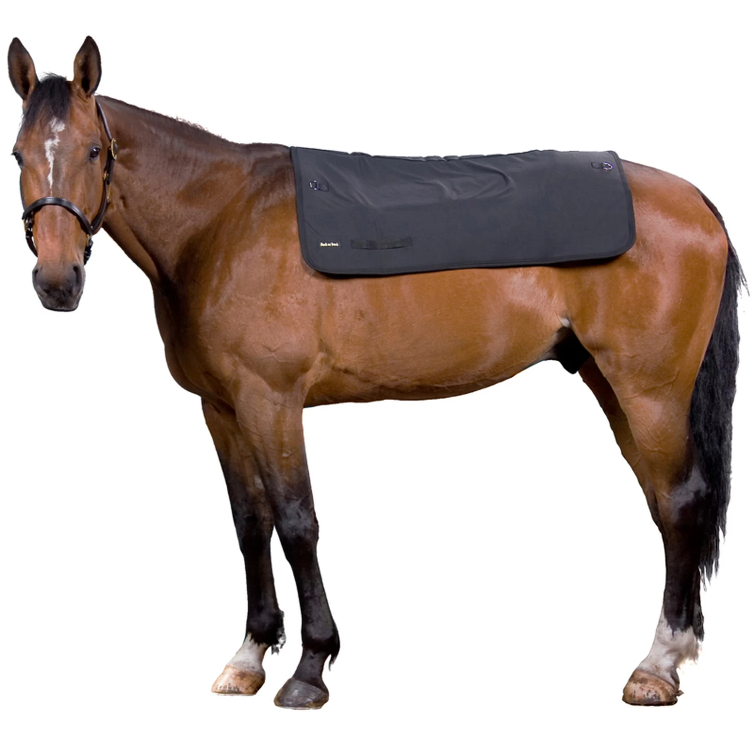 Back On Track Rückenwärmer 100cm X 120cm 1 Back On Track Rückenwärmer 100cm X 120cm