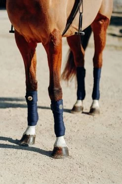 Horze Ella Ponybandagen -Reitsportbedarf 18258 PDB 2