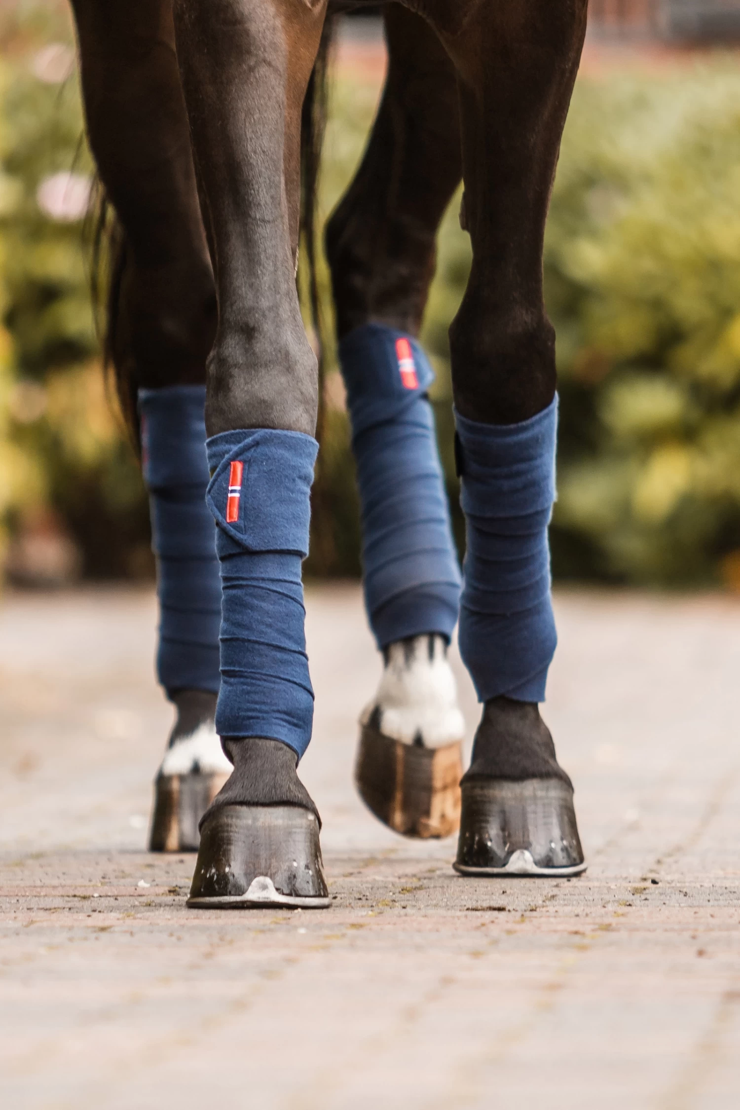 B Vertigo Amory Fleece Bandagen 2 B Vertigo Amory Fleece Bandagen – Bild 2