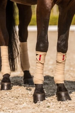 B Vertigo Amory Fleece Bandagen 8 B Vertigo Amory Fleece Bandagen -Reitsportbedarf 18269 WTBE 2