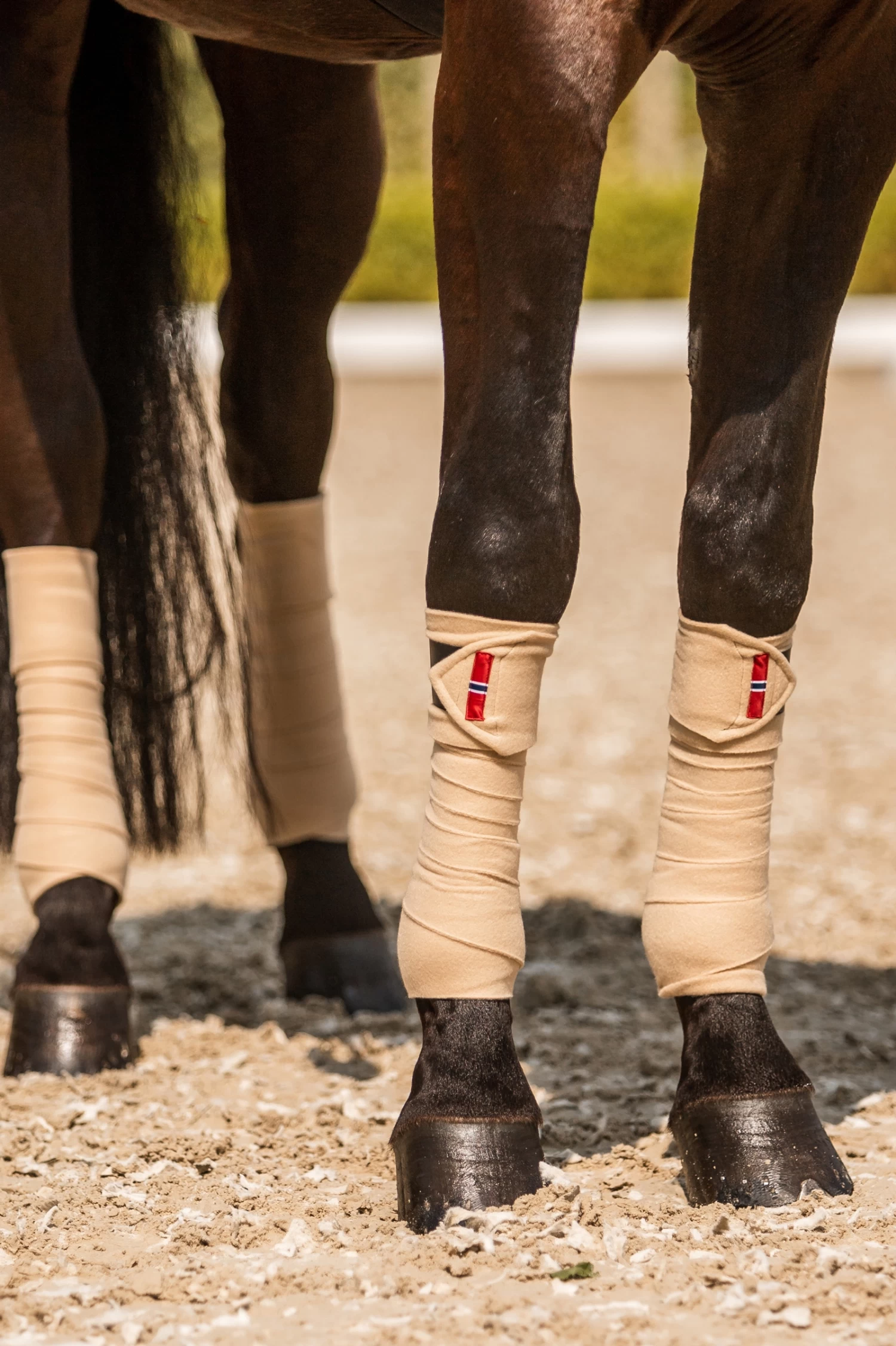 B Vertigo Amory Fleece Bandagen 4 B Vertigo Amory Fleece Bandagen – Bild 4