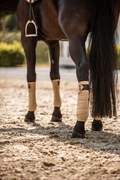 B Vertigo Amory Fleece Bandagen 9 B Vertigo Amory Fleece Bandagen -Reitsportbedarf 18269 WTBE 3