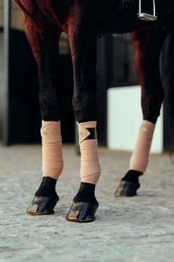 B Vertigo Laurel Fleecebandagen 14 B Vertigo Laurel Fleecebandagen -Reitsportbedarf 18280 TEBR 2