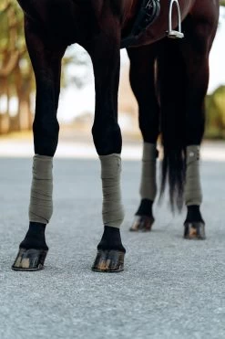 B Vertigo Laurel Fleecebandagen 19 B Vertigo Laurel Fleecebandagen -Reitsportbedarf 18280 WGGR 2