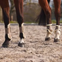 Horze Windsor Gamaschen Mit Kunstfellfutter -Reitsportbedarf 19202 LBR 6