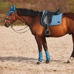 Horze Marquess Neopren-Gamaschen -Reitsportbedarf 19204 AGNB 7