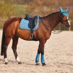 Horze Marquess Neopren-Gamaschen -Reitsportbedarf 19204 AGNB 9