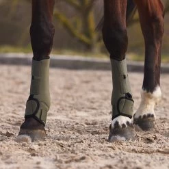 Horze Marquess Neopren-Gamaschen -Reitsportbedarf 19204 BOGR 6