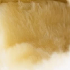 Horze Signature Gamaschen -Reitsportbedarf 19212 BL 21