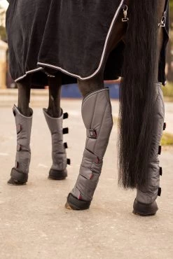 B Vertigo Wellington Transportgamaschen (4er Set) -Reitsportbedarf 19528 085 06