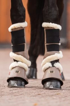 B Vertigo Quinn Hufglocken -Reitsportbedarf 19737 sbe 05